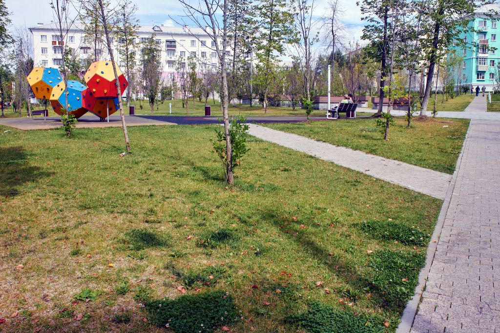Владимир: «Снизу веточки растут, а выше всё голое. Листьев нету». Фото: Вадим Аминов, «Вечерний Краснотурьинск»