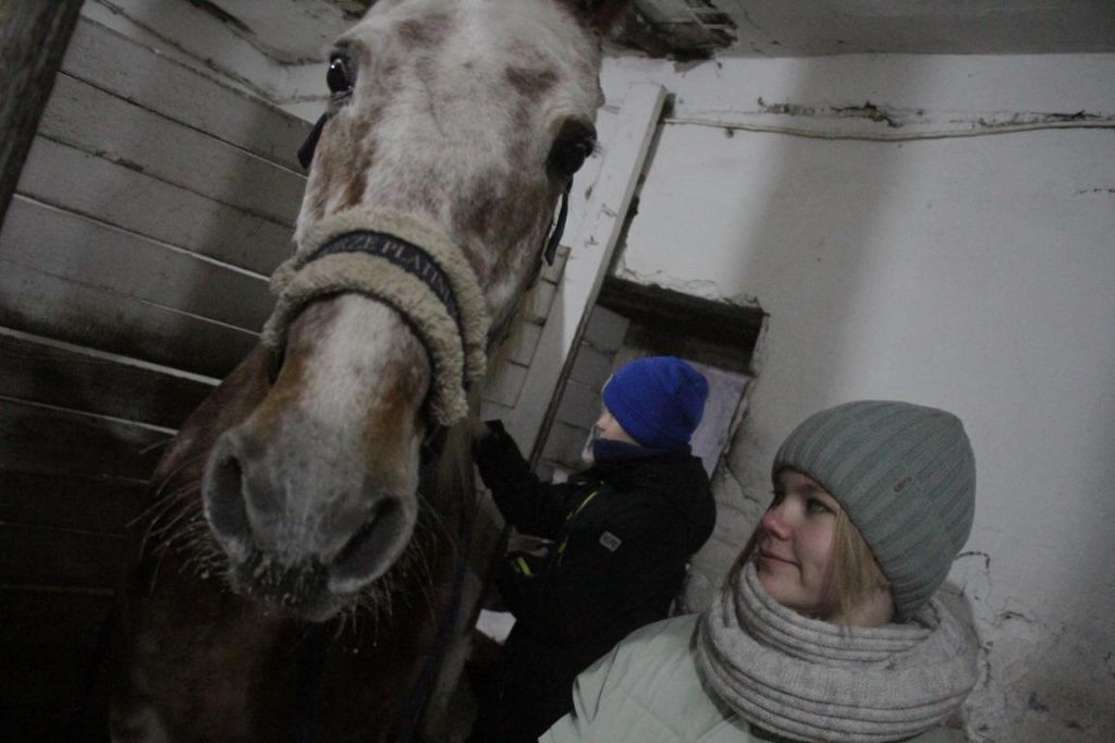 На практических занятиях ребята учатся не толкьо верховой езде, но и уходу за животными. Фото: Константин Бобылев, "Глобус"