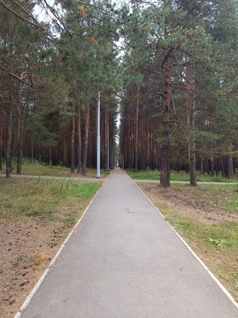 Реконструкция Комсомольского парка закончилась в 2019 году. Фото: Глеб Габбазов