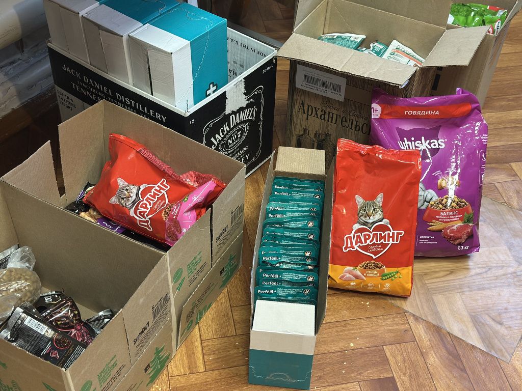 Сбор корма будет идти весь ноябрь. Фото: Мария Шевнина, «Вечерний Краснотурьинск».