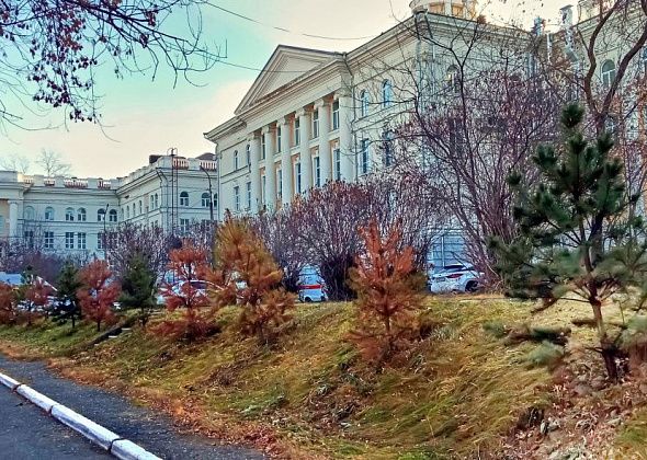 Медики отмечают снижение числа инсультов после пандемийного пика