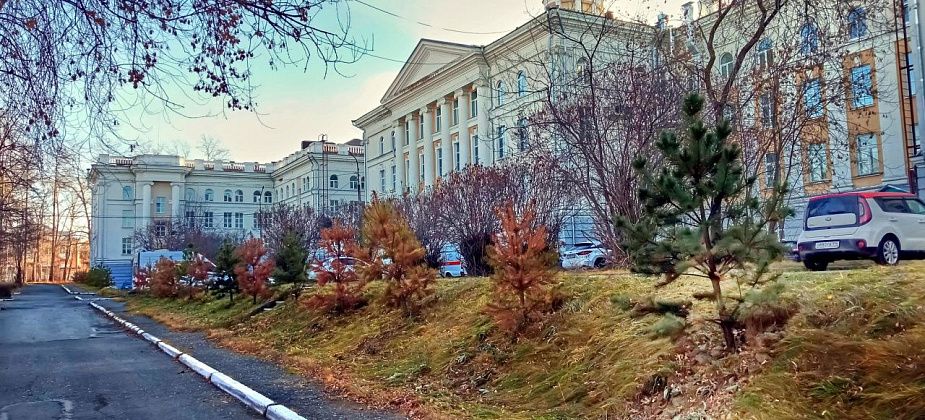 Медики отмечают снижение числа инсультов после пандемийного пика