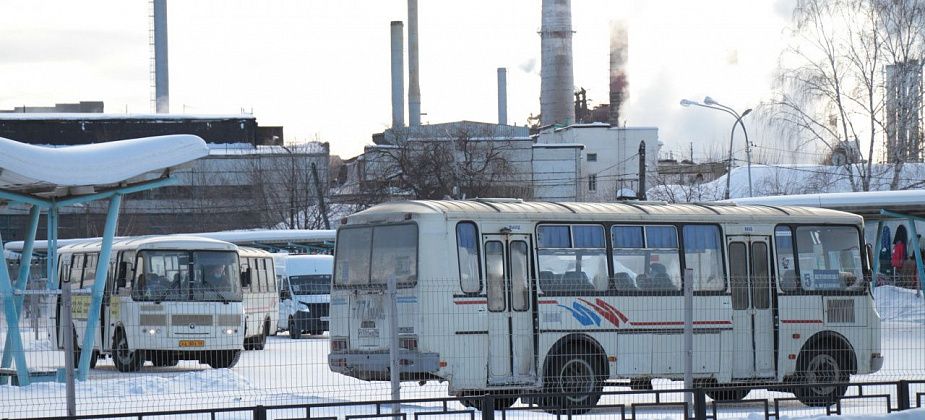Управление физкультуры и спорта — в поисках перевозчика на междугородние рейсы