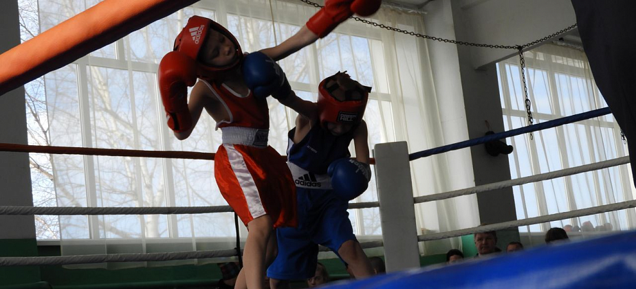 Краснотурьинские боксеры завоевали 12 призовых мест в Карпинске