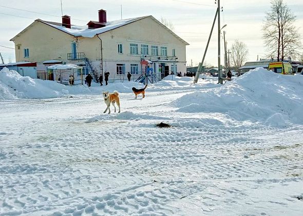Утвержден трехлетний план развития Воронцовки