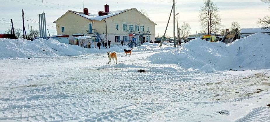 Утвержден трехлетний план развития Воронцовки