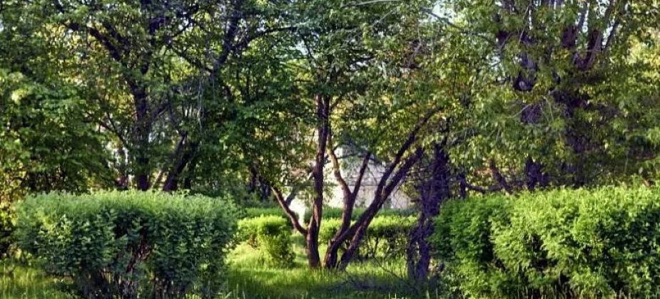 На благоустройство парка на Медной Шахте выделили более 100 миллионов рублей