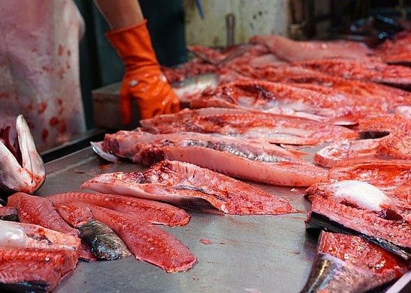 Открыта очередная “горячая линия”. Есть вопросы про мясо?