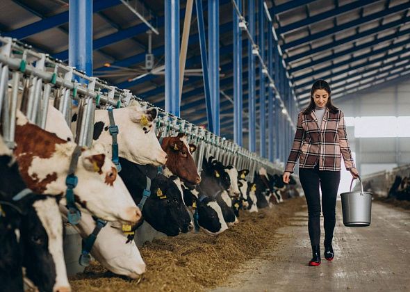 Какую работу предлагает центр занятости c 9 февраля 