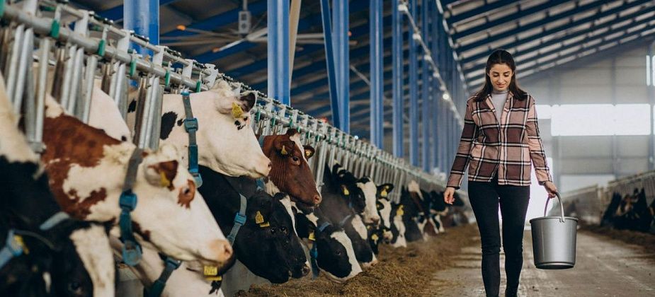 Какую работу предлагает центр занятости c 9 февраля 