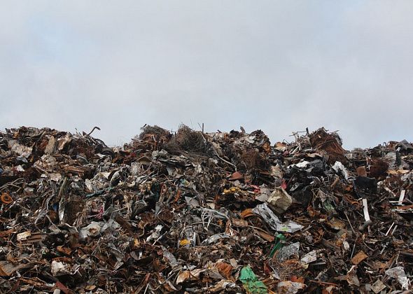 До конца года на территории города уберут 353 тонны мусора 