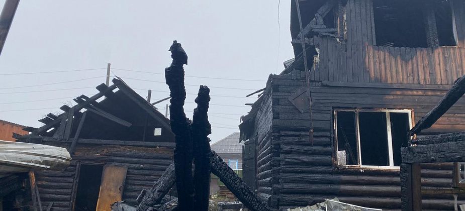Кошки в горящем доме предупредили хозяев о пожаре