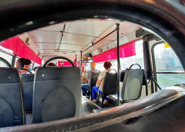 Дети мобилизованных бесплатно ездят на автобусах в школы и секции