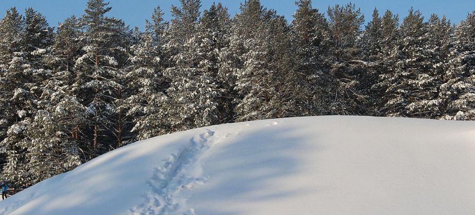 На карьере «Пещерный» со 2 по 7 февраля пройдут взрывные работы