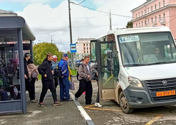 «На 14 маршрут цены загнули выше некуда». Перевозки по всем маршрутам обещают сделать дешевле