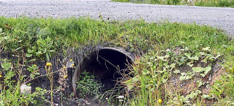 Понижать уровень грунтовых вод на Медной Шахте будут екатеринбуржцы