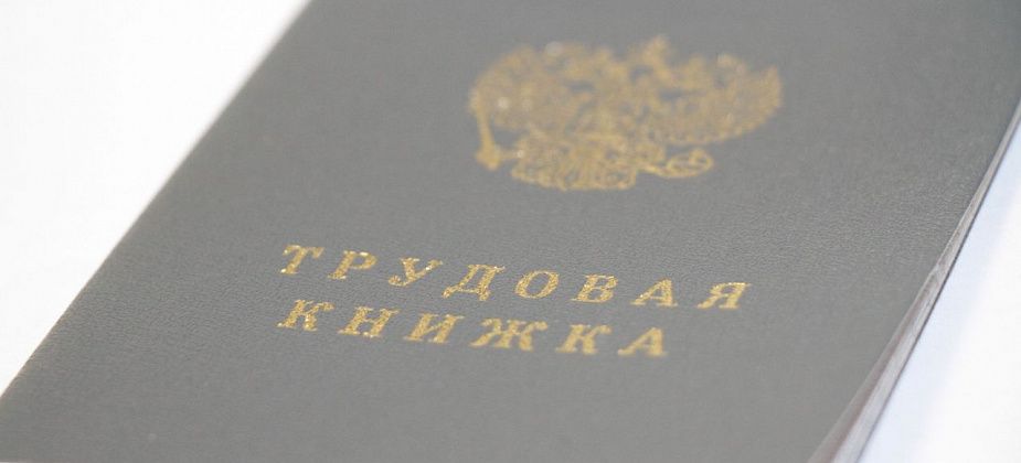 С начала года новую работу нашли более полутора тысяч горожан  