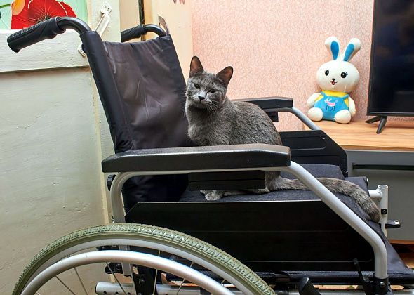 За пять лет выросло число детей-инвалидов