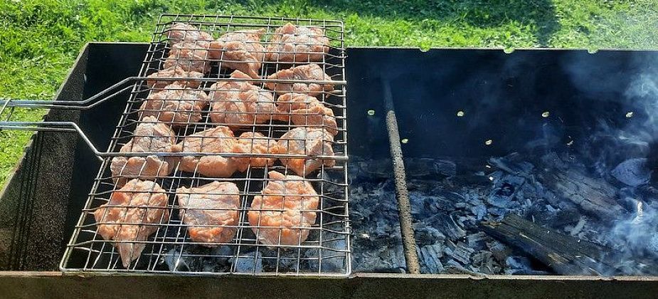 Краснотурьинцы стали реже готовить шашлыки