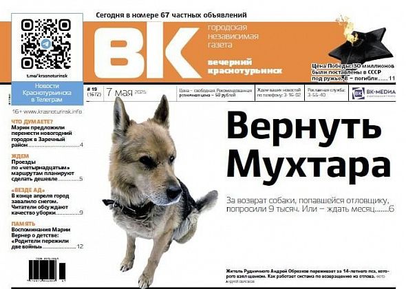 Свежая «Вечерка»: как вернуть пса из отлова и воспоминания о военном детстве