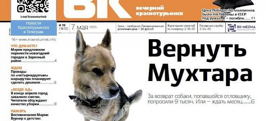 Свежая «Вечерка»: как вернуть пса из отлова и воспоминания о военном детстве