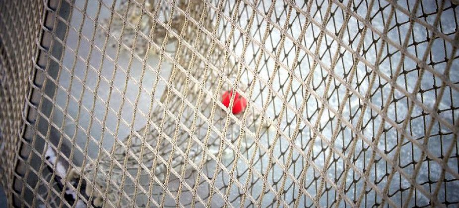 Краснотурьинец помог сборной области выйти в финал межрегиональных соревнований