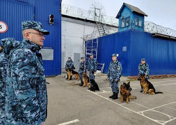 В Краснотурьинске прошли учебно-методические сборы кинологов со служебными собаками