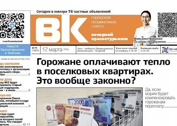 Начался суд над шахтером, а на улице вновь нашли мертвых собак