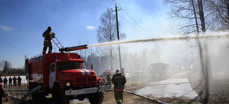 В Краснотурьинске запрещено посещать леса. Из-за опасности пожара