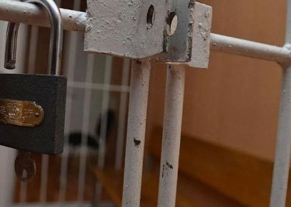 Наказали потребителя марихуаны, вышедшего на автодорогу