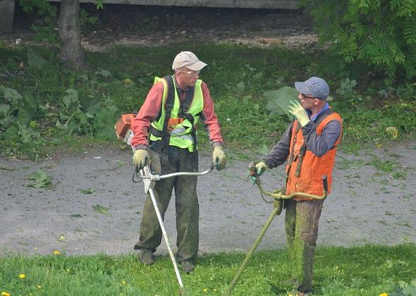 В Краснотурьинске ищут подрядчика для покоса травы у дорог