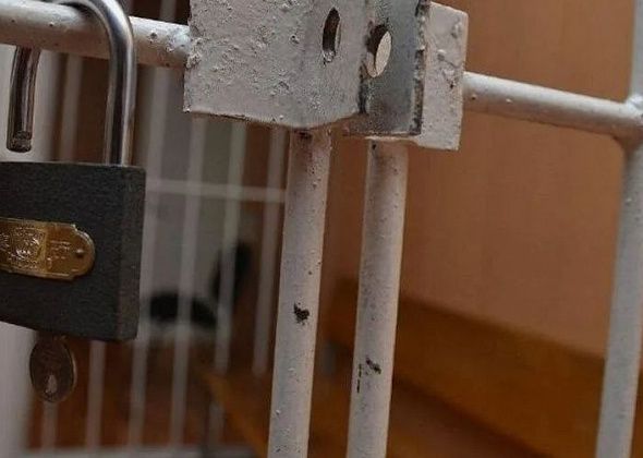 За 14 граммов наркотиков студентка может сесть на 8 лет