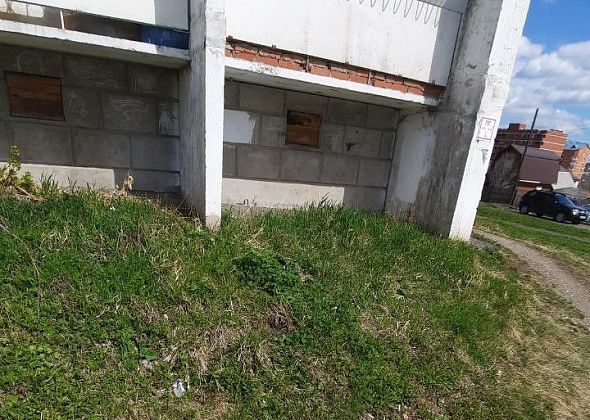 Управляющая компания отреагировала на ситуацию с мусором под окнами жилого дома