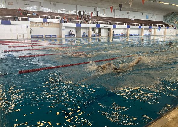 Краснотурьинские пловцы взяли несколько призовых мест на Кубке Свердловской области