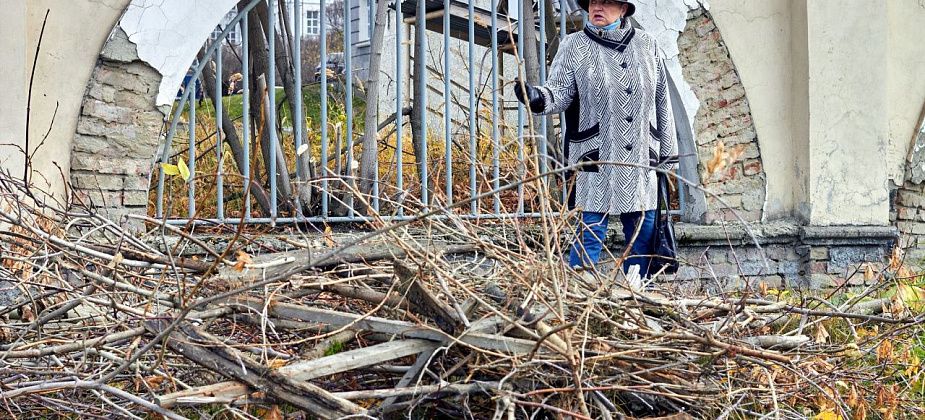 В больнице поблагодарили горожанку, которая подрезала кусты