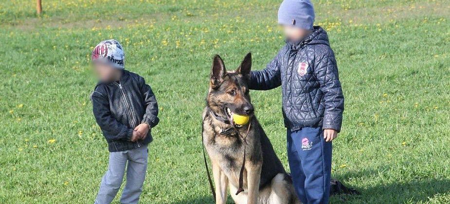 "Показала детям, как собака умеет танцевать". В гости к воспитанникам реабилитационного центра приходят кинологи и волонтеры
