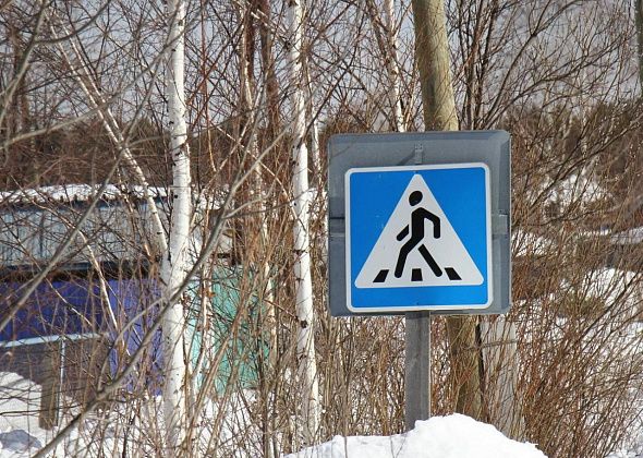 Робототехники из Краснотурьинска поедут на международный чемпионат