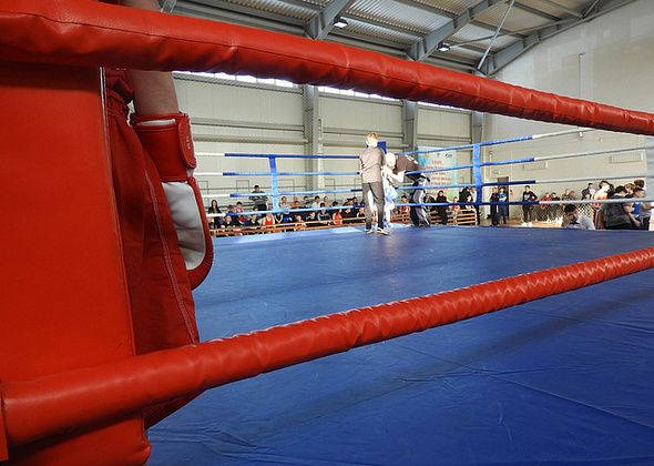Двое краснотурьинских боксеров пробиваются к финалу первенства страны