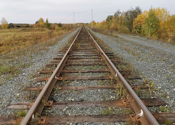 По протесту транспортного прокурора в соответствие привели нормативные акты лесохозяйственного регламента