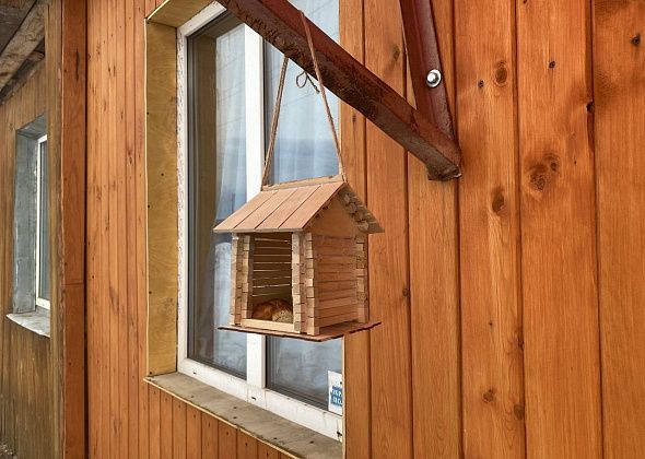 Юннаты приглашают принять участие в акции «Покормите птиц зимой»