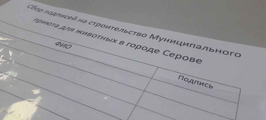  Активисты собирают подписи за приют в Серове
