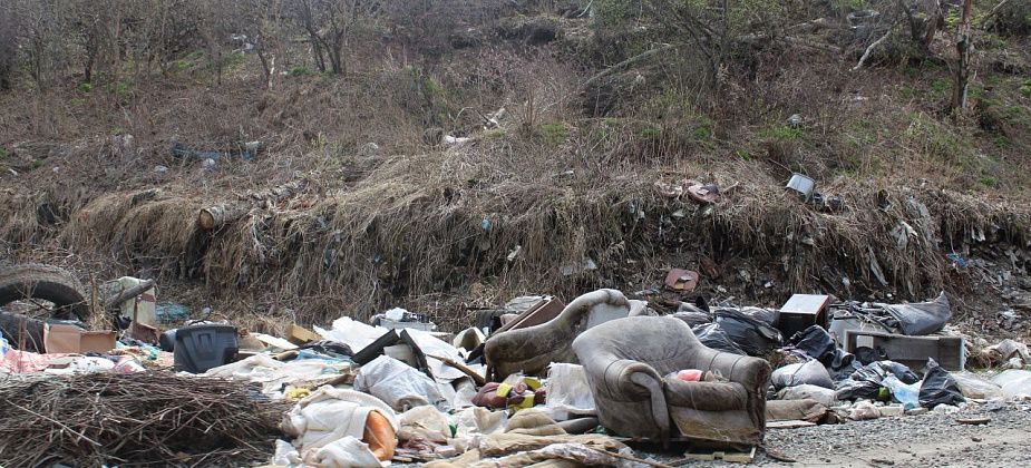 С несанкционированных свалок уберут почти 500 тонн мусора