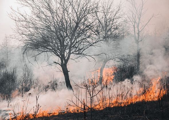 В Свердловской области действуют 46 природных пожаров