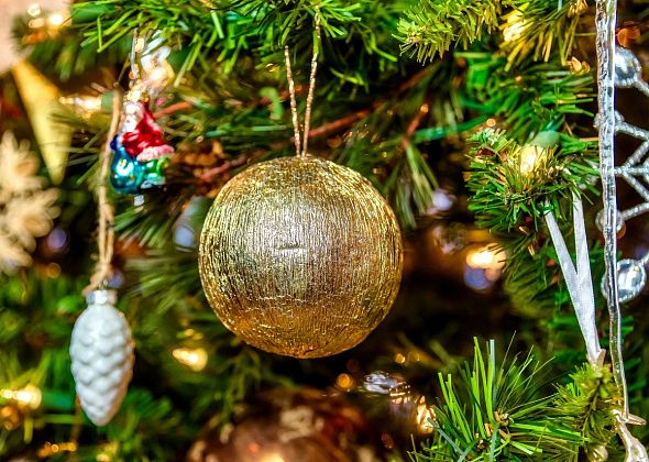 Новогоднюю елку на Рудничном откроют 24 декабря