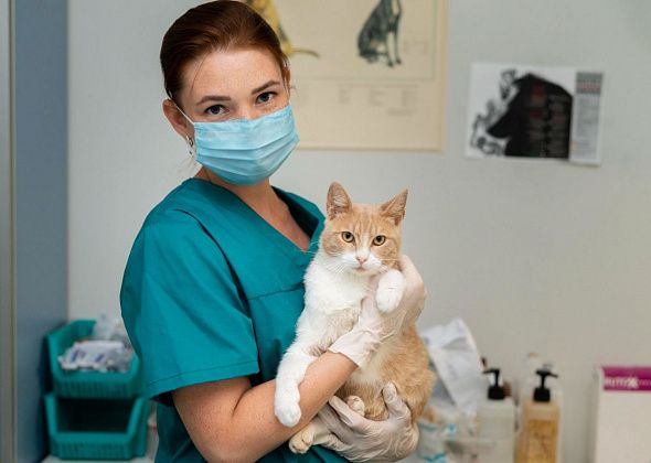 Какую работу предлагает центр занятости с 29 декабря