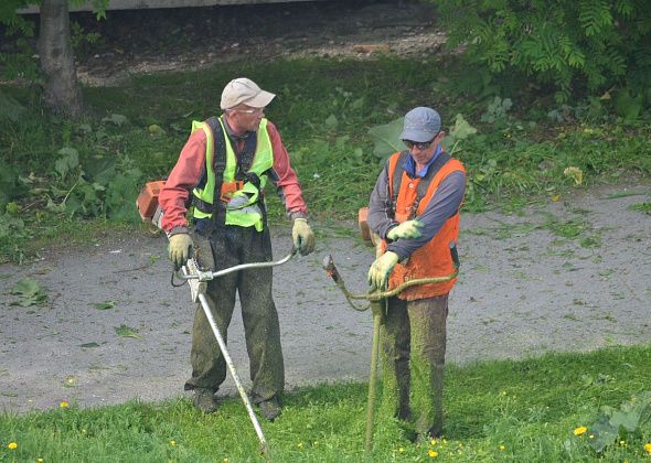 Более 565 тысяч рублей сэкономит бюджет Краснотурьинска на покосе травы вдоль автодорог