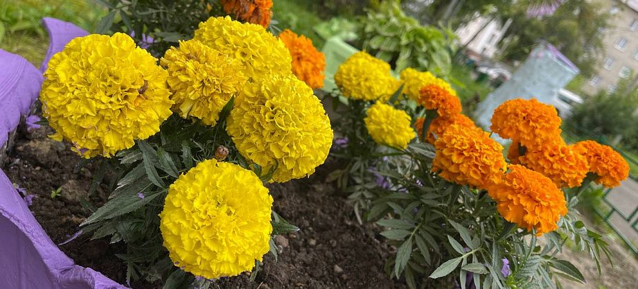 Синоптики обещают теплую и сухую погоду до 5 августа