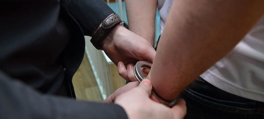 Обвиняемую  взрослую дочь взяли под стражу в зале суда 