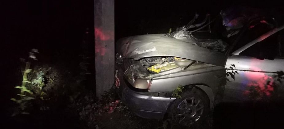 Североуралец сбил лося на авто около Краснотурьинска. Пострадал и сам
