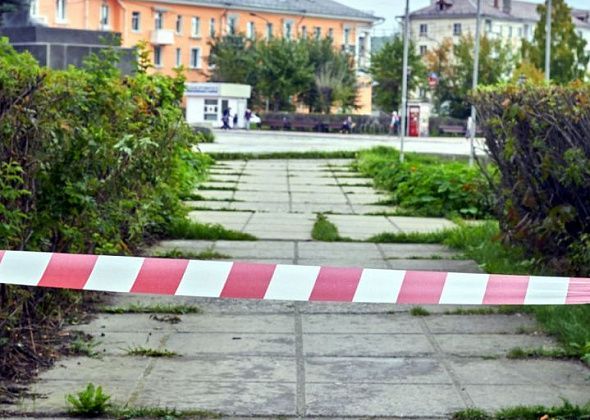 Выбрали подрядчика для акарицидной обработки общественных пространств